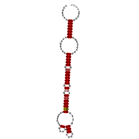 secondary structure