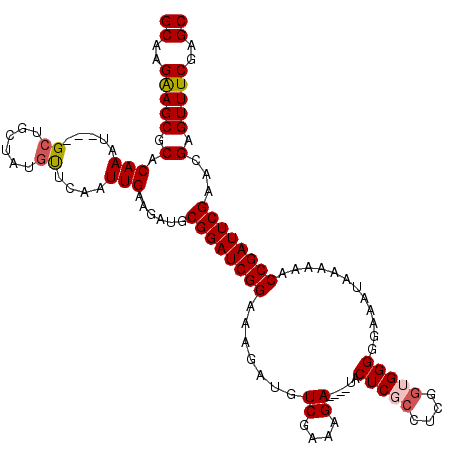 secondary structure
