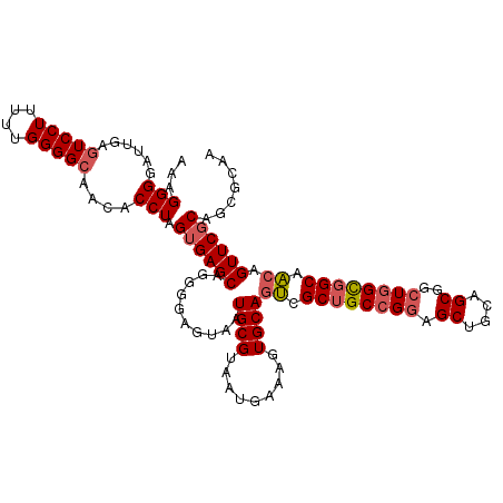 secondary structure