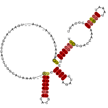 secondary structure