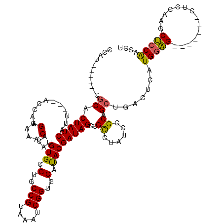 secondary structure