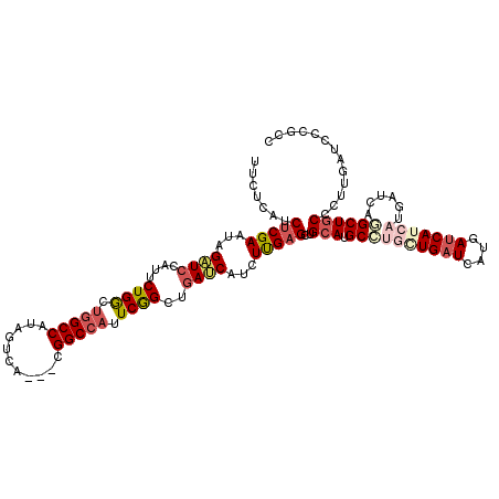 secondary structure