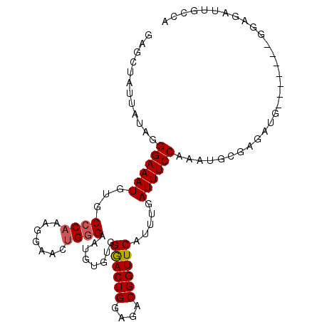 secondary structure