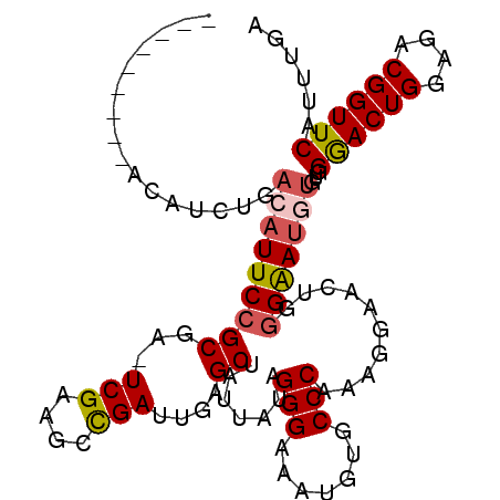 secondary structure