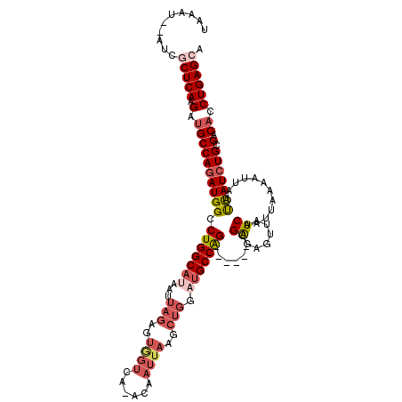 secondary structure