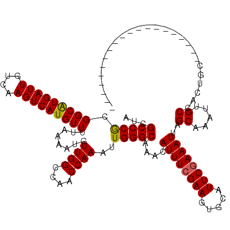 secondary structure