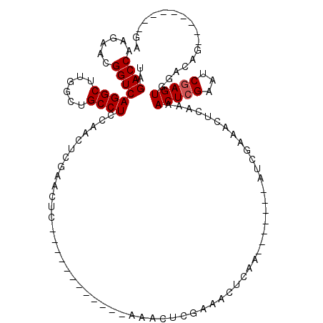 secondary structure