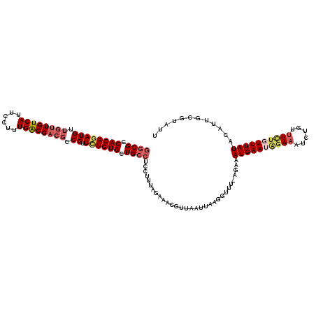 secondary structure