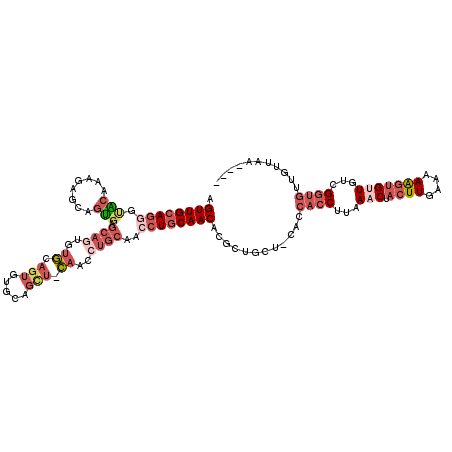 secondary structure