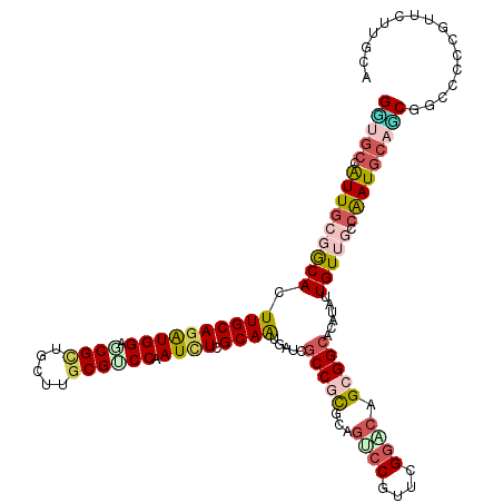secondary structure