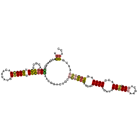 secondary structure