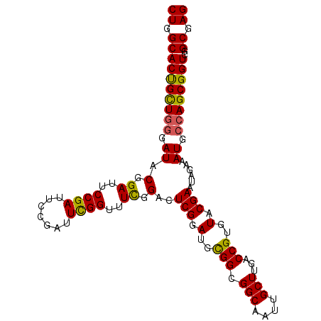 secondary structure