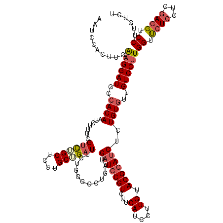 secondary structure