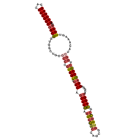 secondary structure