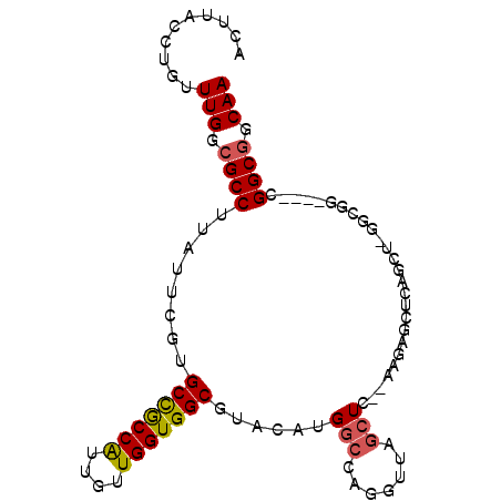 secondary structure