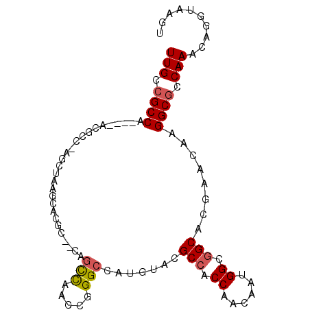 secondary structure