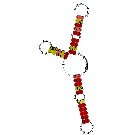 secondary structure