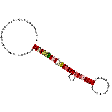 secondary structure