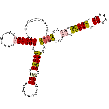 secondary structure