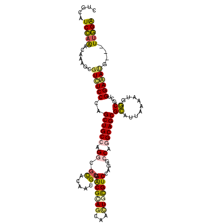 secondary structure