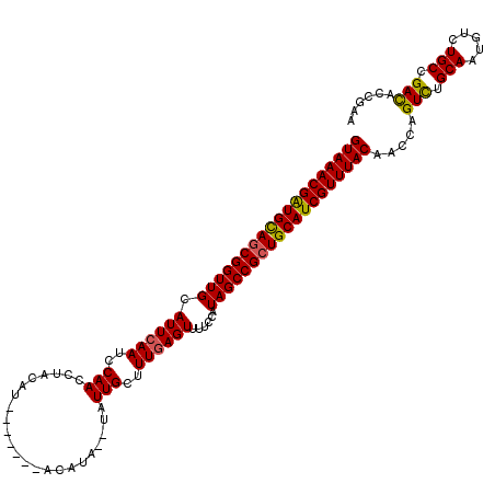 secondary structure