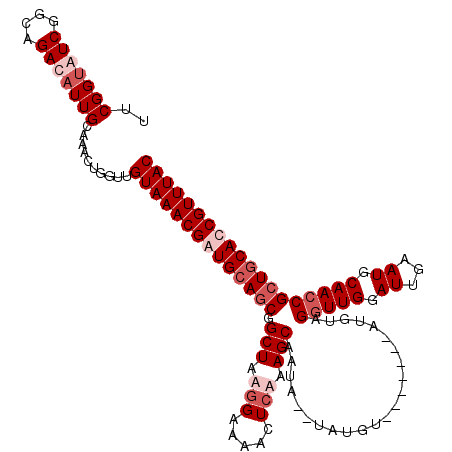 secondary structure