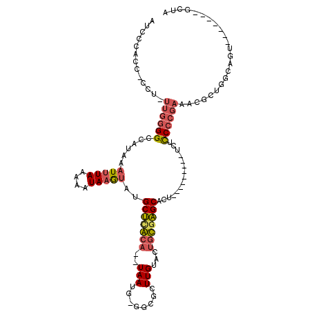 secondary structure