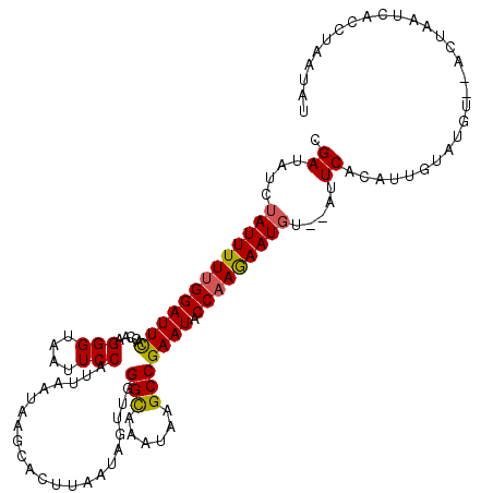 secondary structure