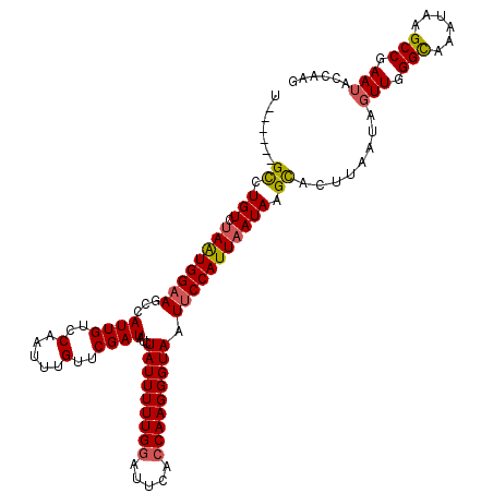 secondary structure