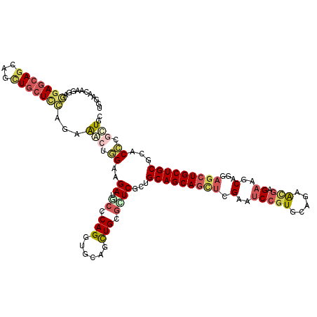 secondary structure