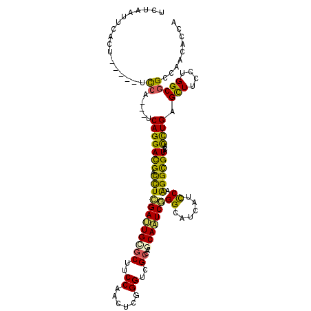 secondary structure