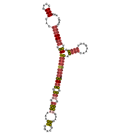 secondary structure