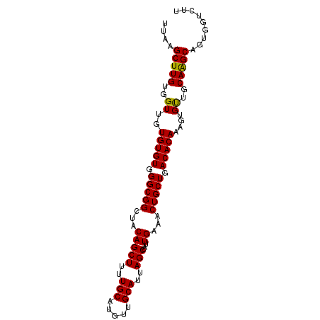 secondary structure