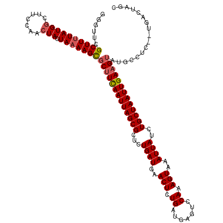 secondary structure
