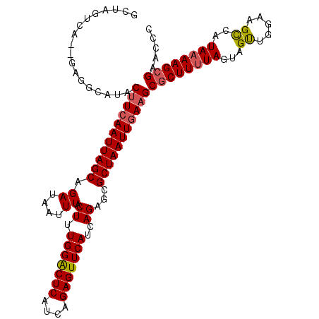 secondary structure