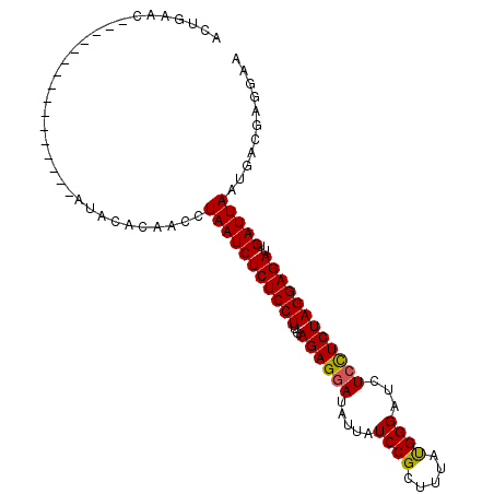 secondary structure