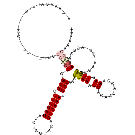 secondary structure