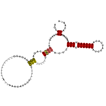 secondary structure