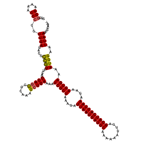 secondary structure