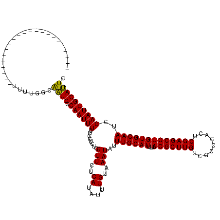 secondary structure
