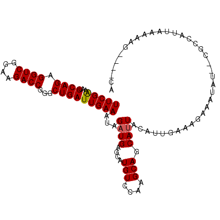 secondary structure