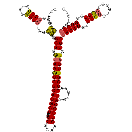 secondary structure