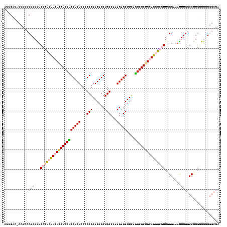 dotplot
