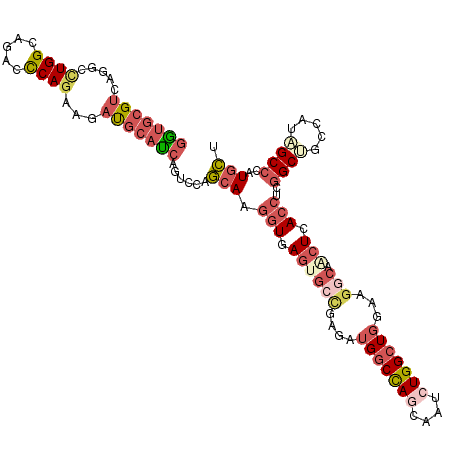 secondary structure