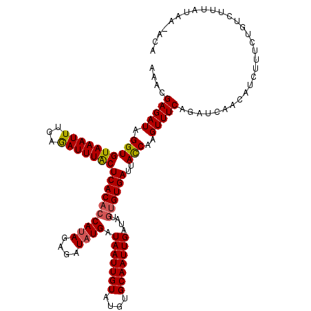 secondary structure