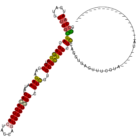 secondary structure