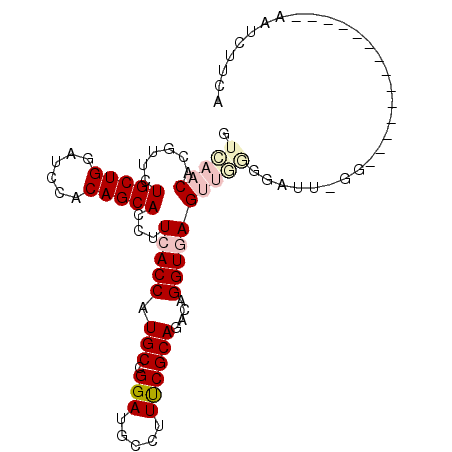 secondary structure