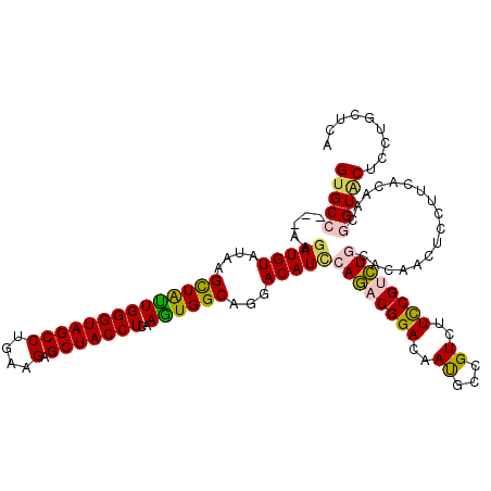 secondary structure