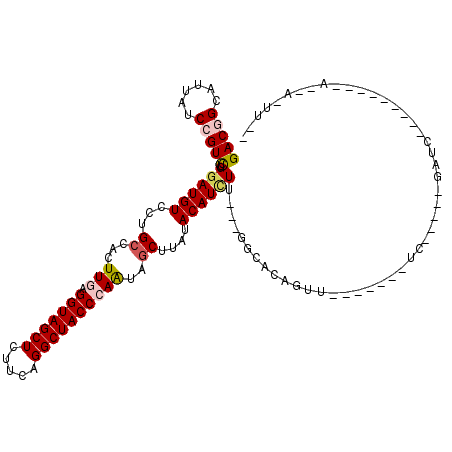 secondary structure
