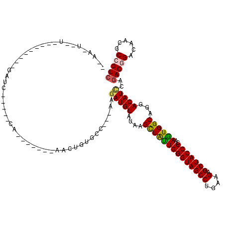 secondary structure